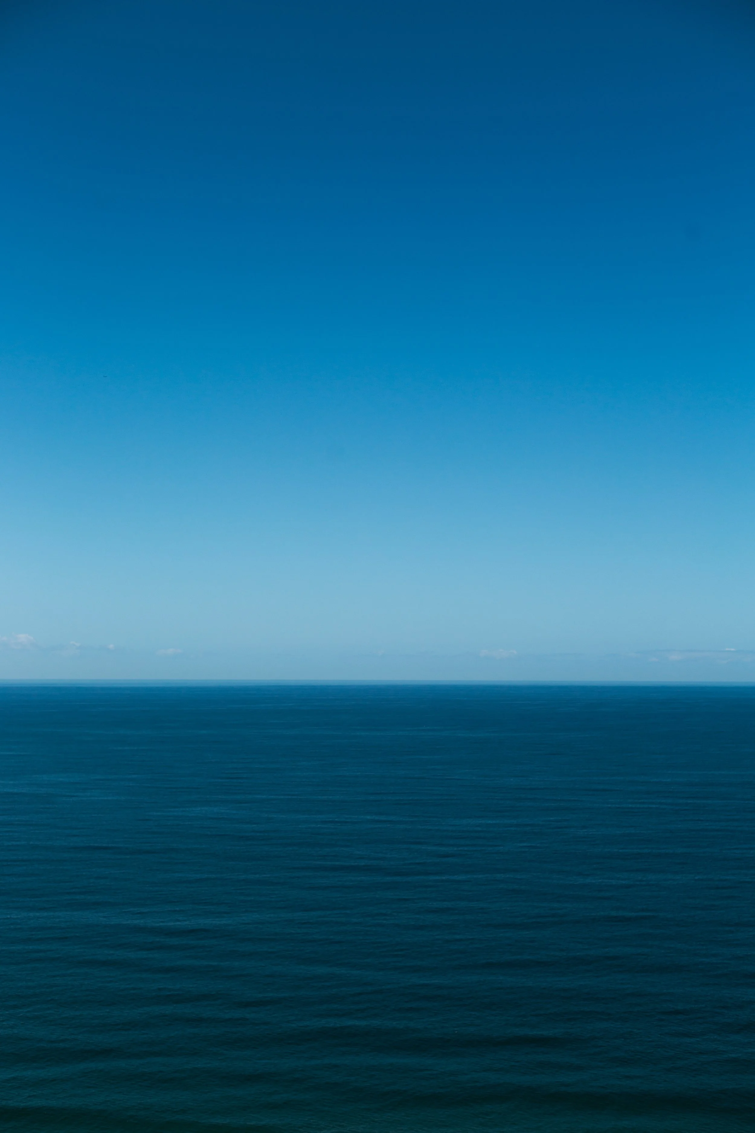 patrick-fore-580073-unsplash.jpg