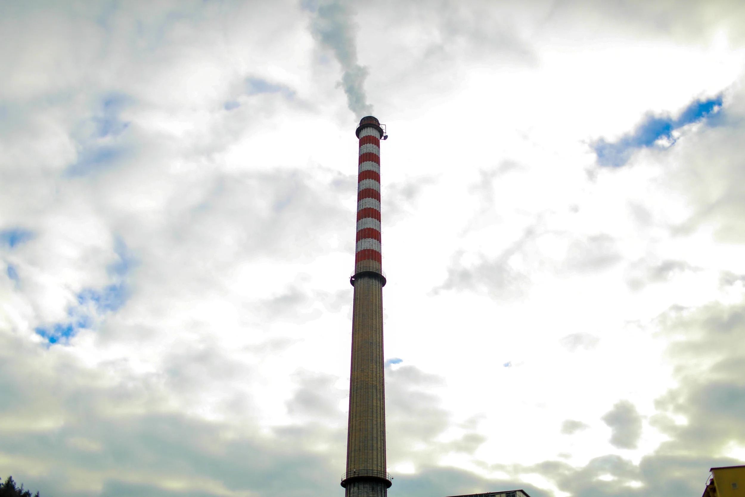 IU5A0362.JPG