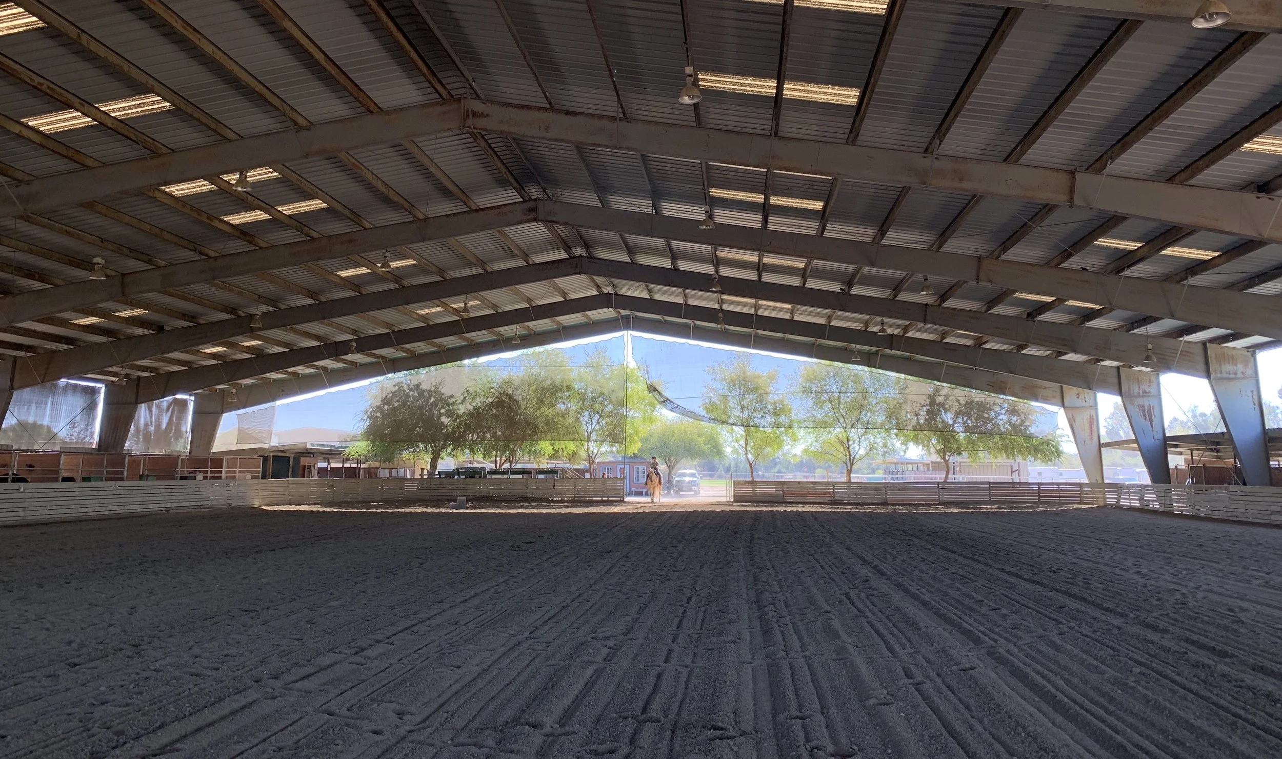 new arena photo .jpg