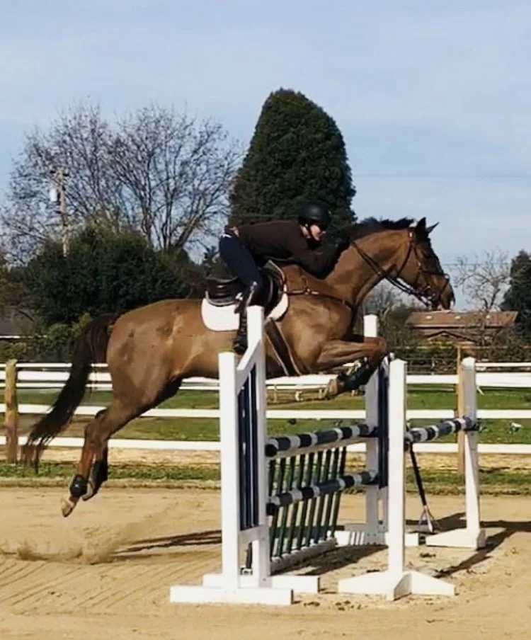 Jumping arena