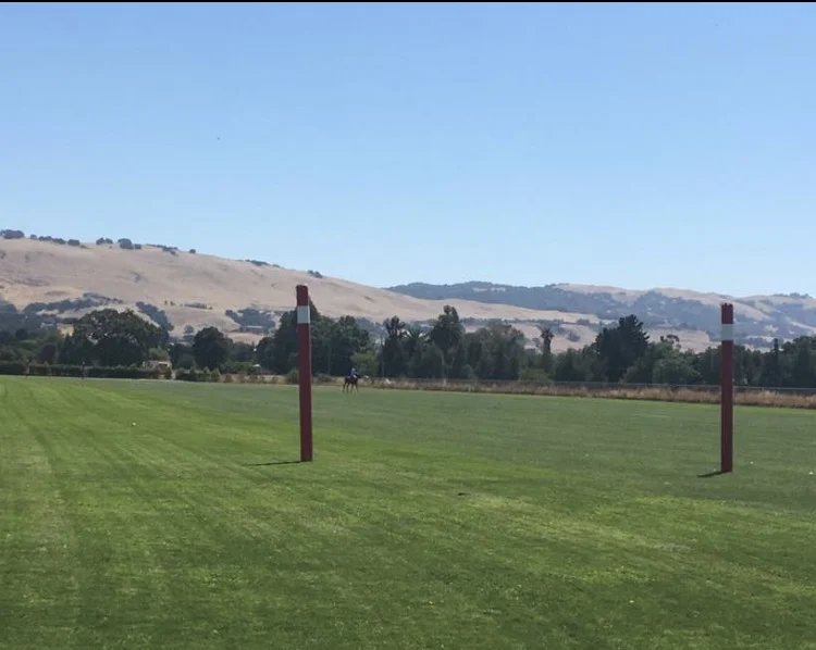 Polo Field