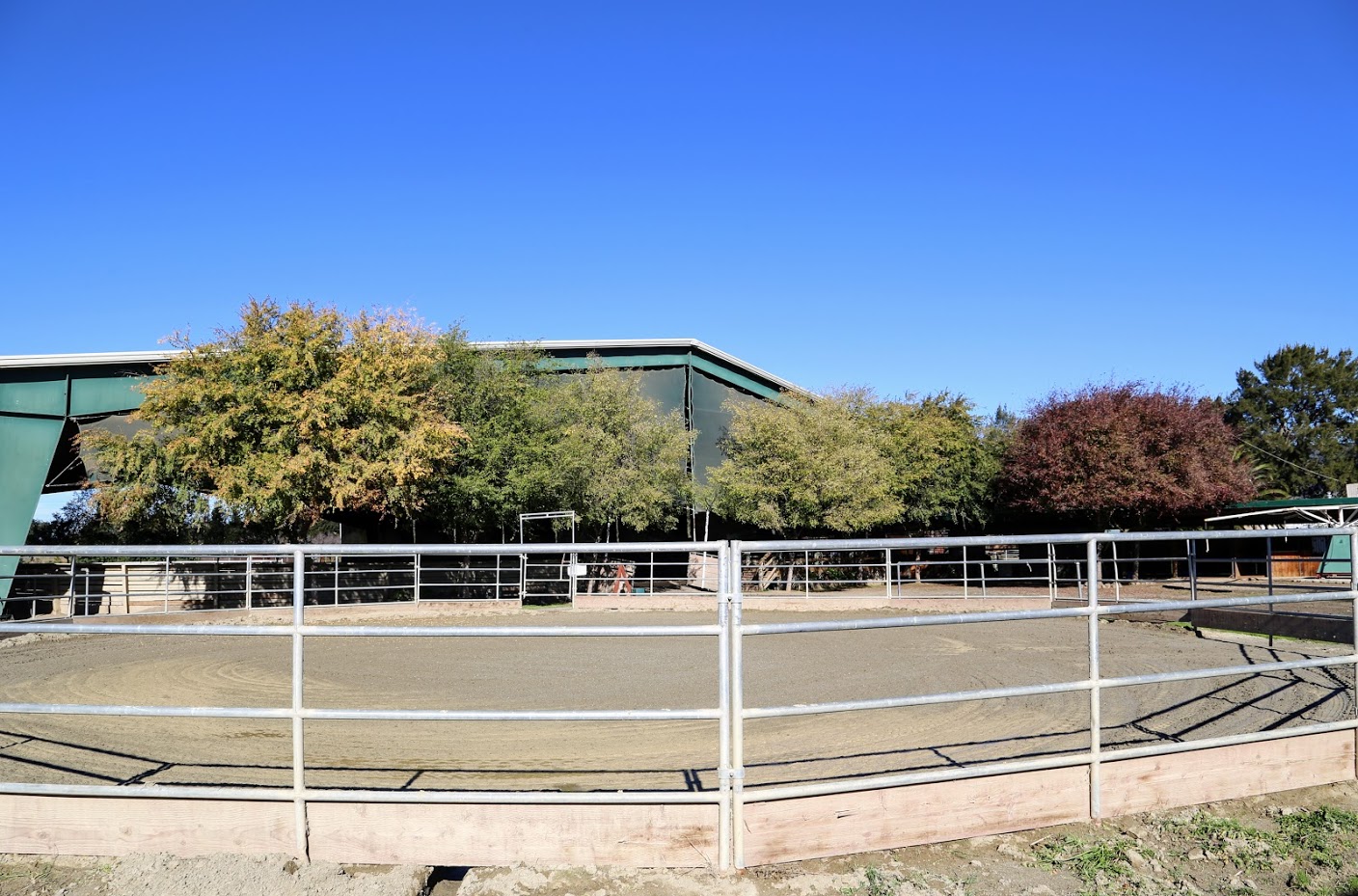 60 foot round pen