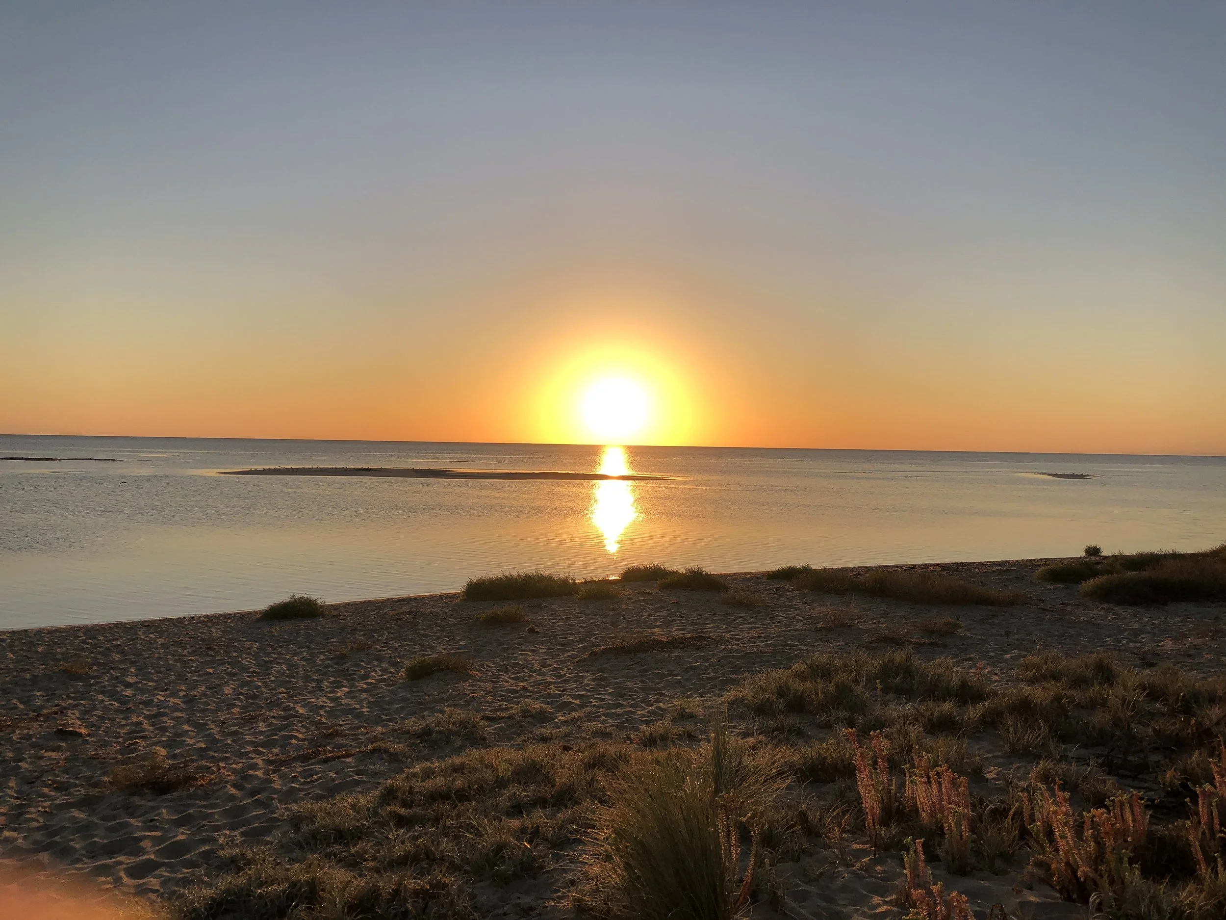 Positivity in business...