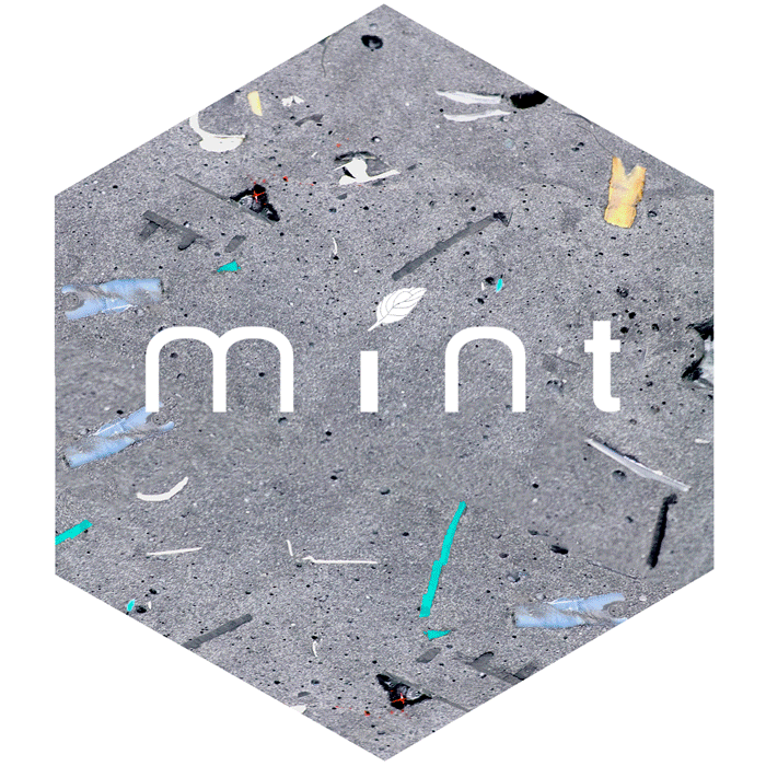 Mint-LDF18-TRANS-FORM_Glen.gif