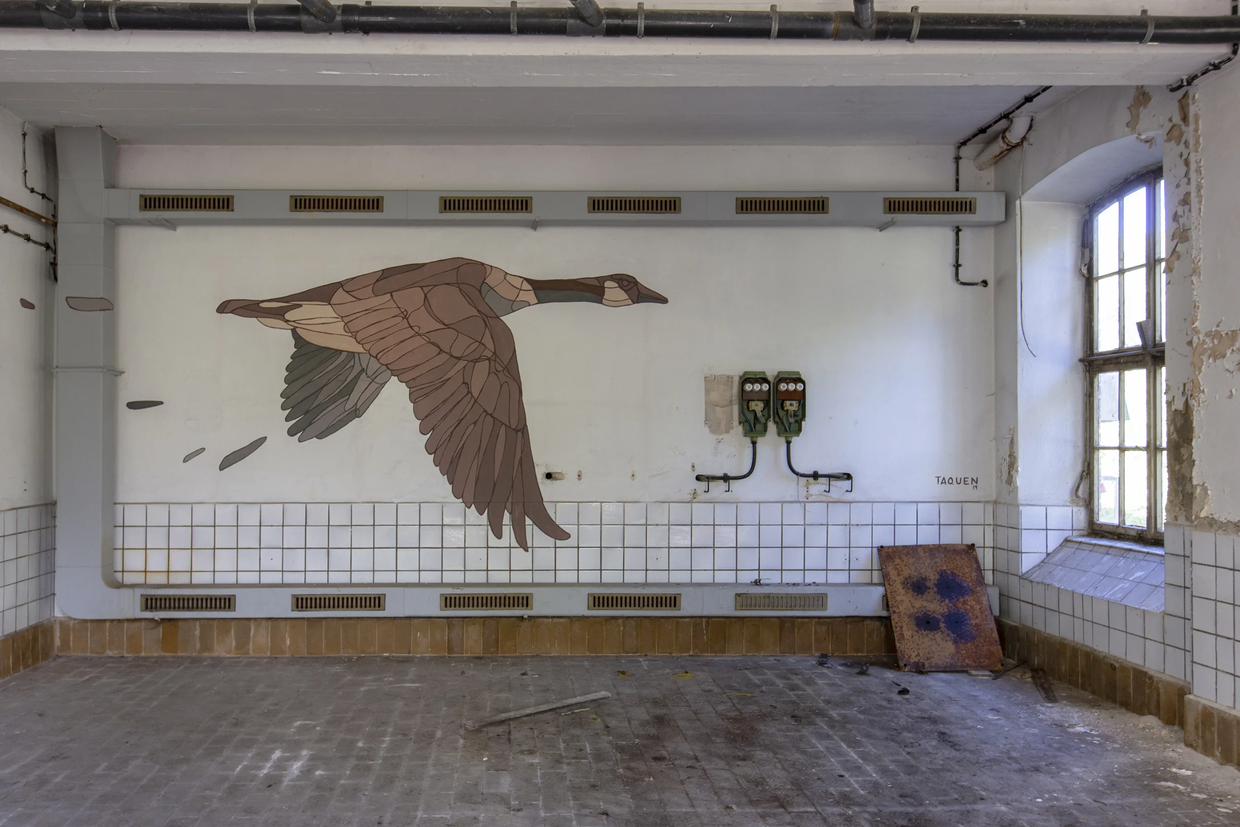 IBUG Urban Festival, Reichenbach, Germany. 2019