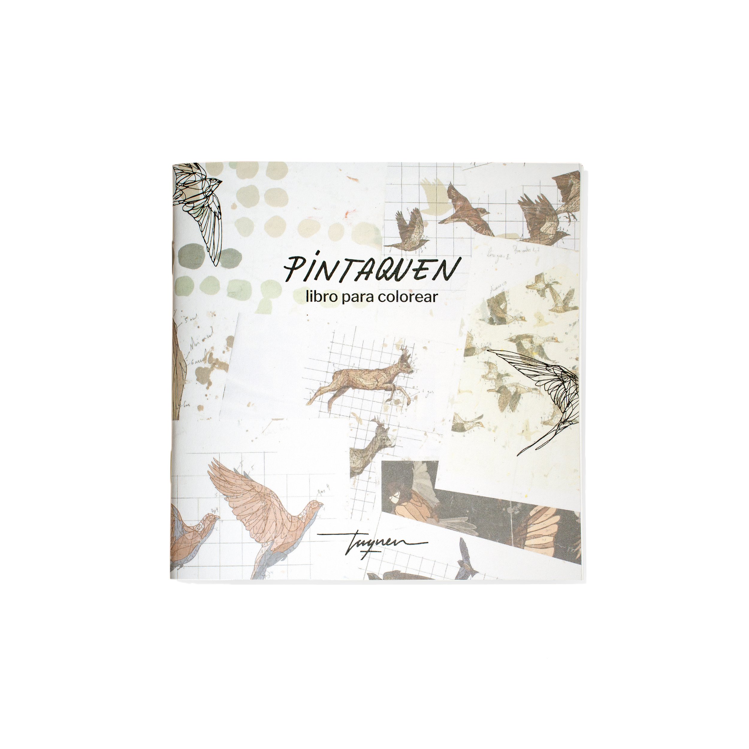 PINTAQUEN