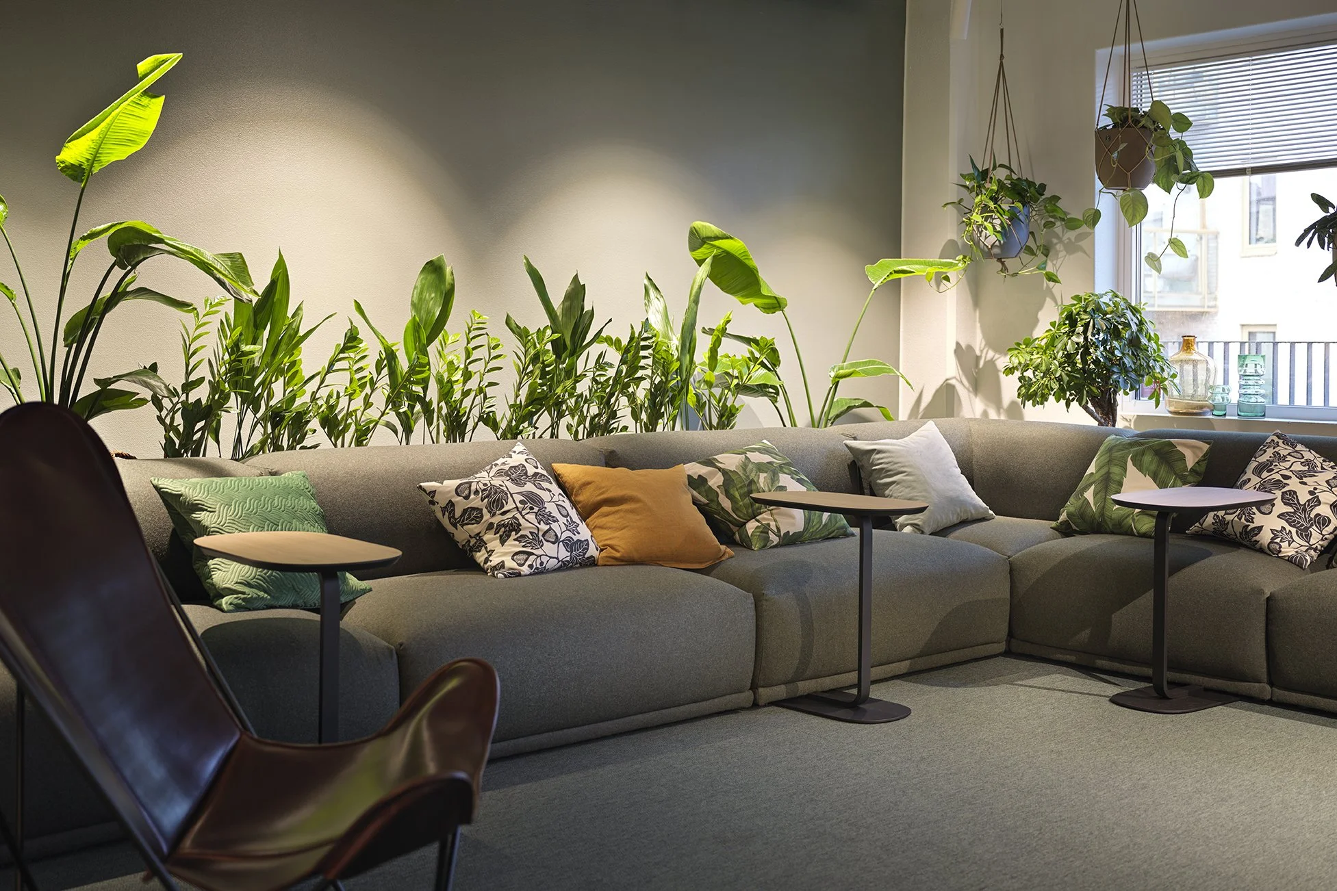 apoteksgruppen / åșa dyberg architect