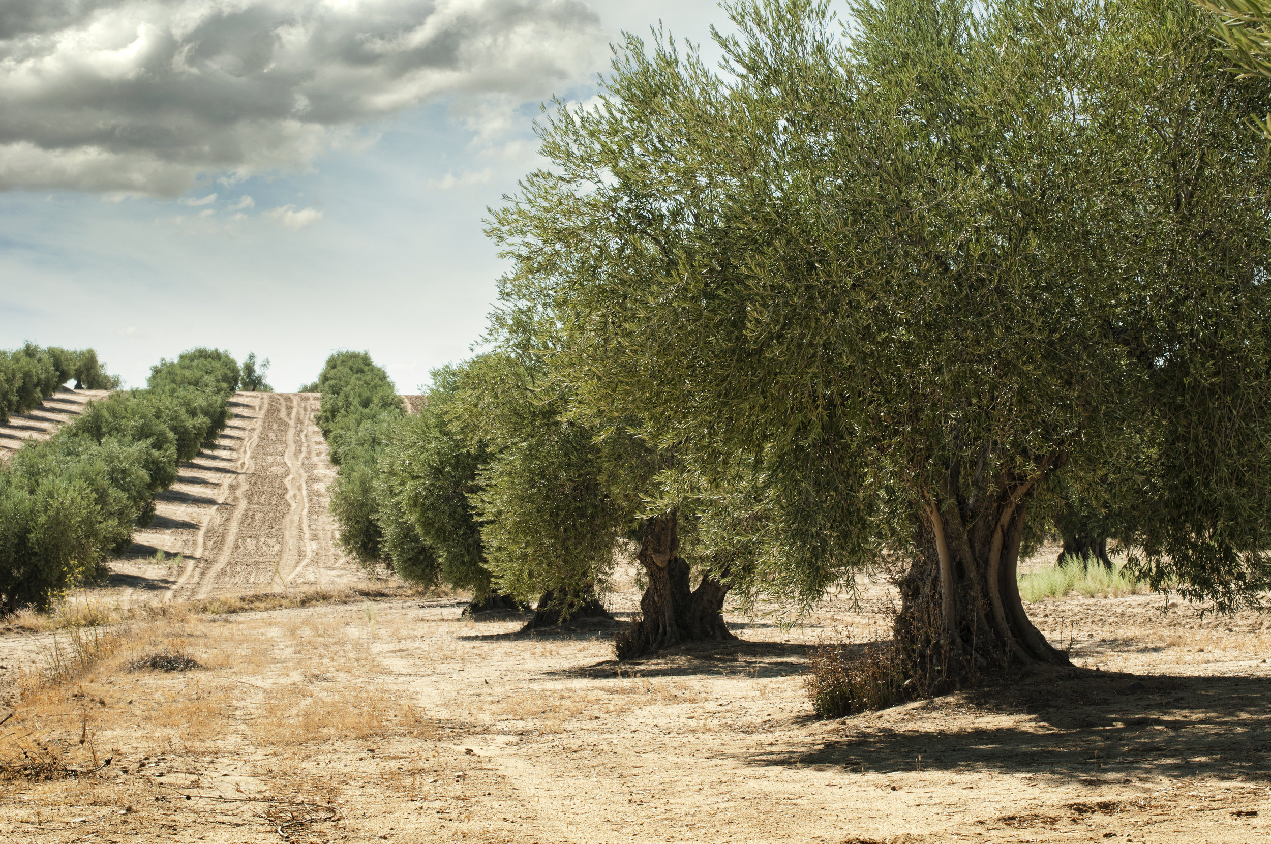 AdobeStock_45013819 (1).jpeg