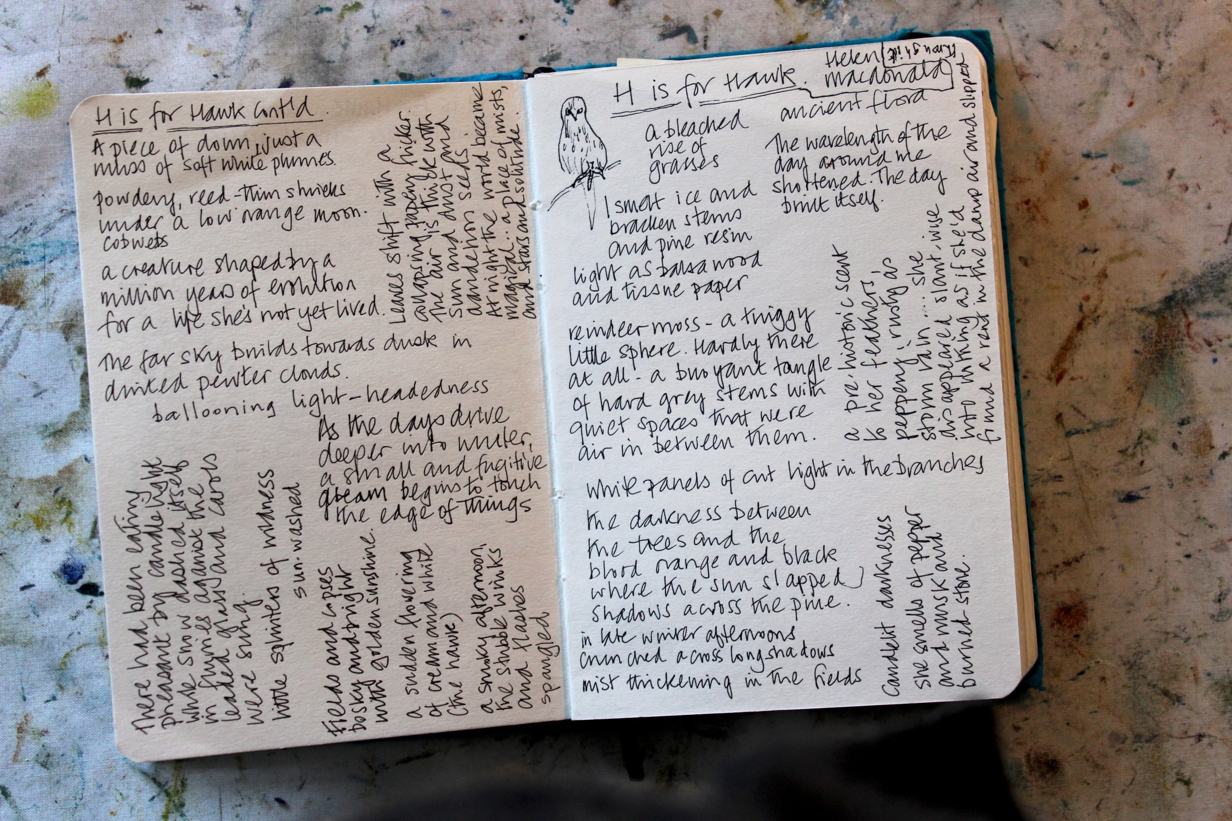 Journal — Shelagh Wilson