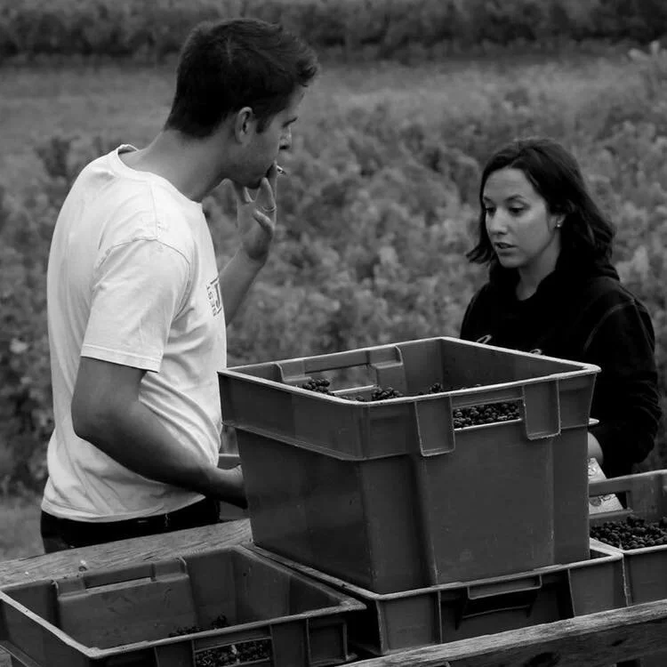 NEW ARRIVALS FROM 2P PRODUCTION