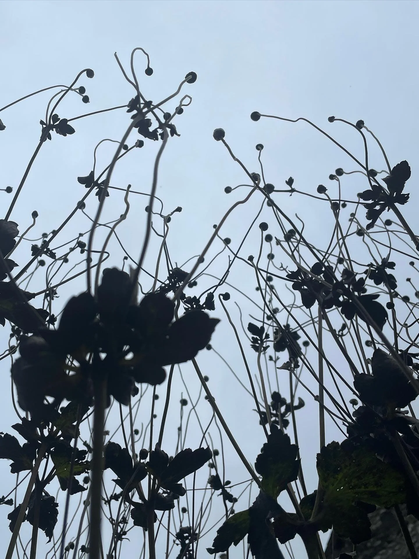 You might have noticed it&rsquo;s been a bit quiet around here lately&hellip; I went outside today for the first time in 5 days, having had surgery last week to treat endometriosis and fibroids, two common but under diagnosed conditions. It went well