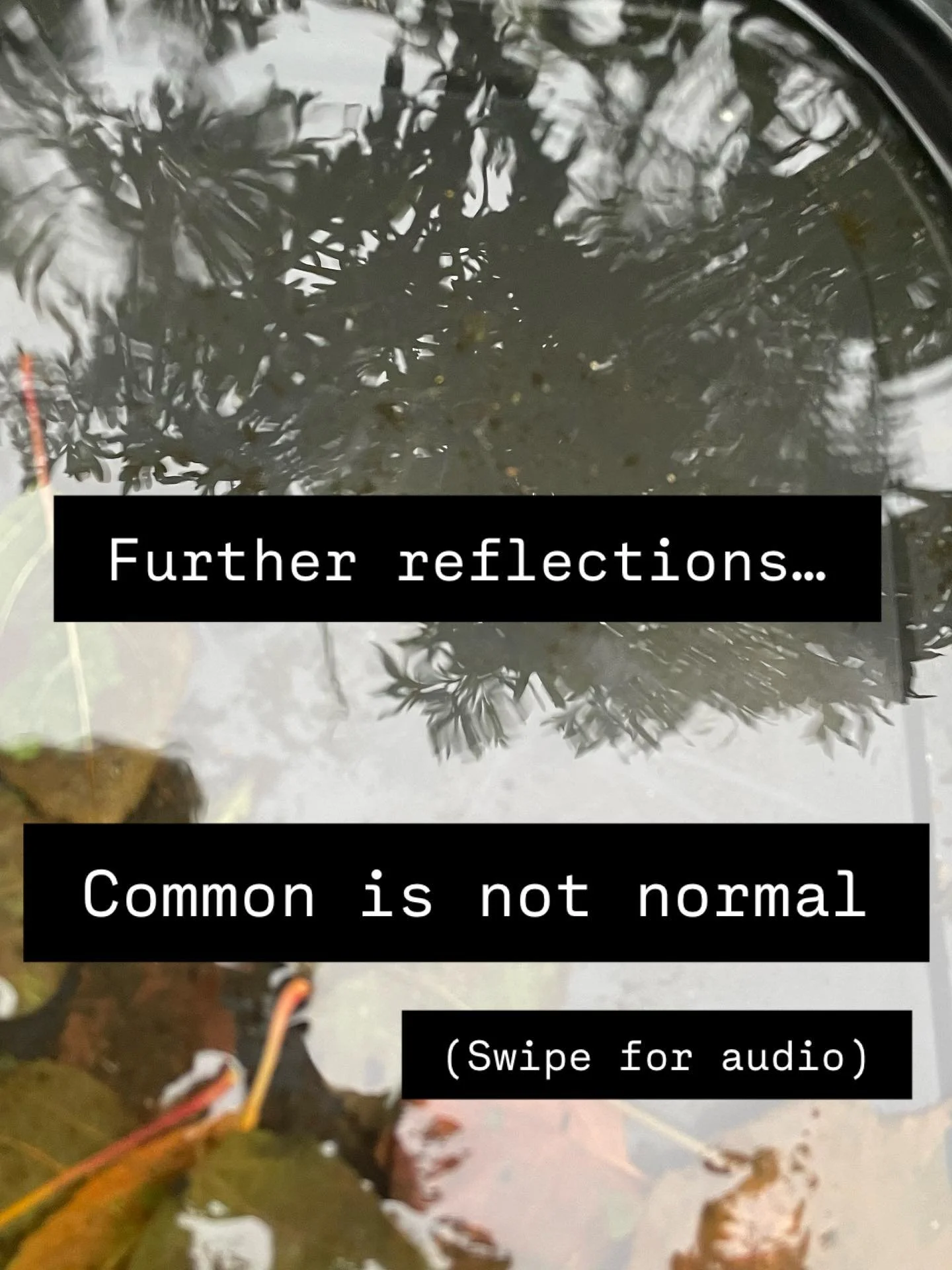 Further reflections on my recent post: Firstly, thank you so much for the messages of support - I&rsquo;ve been really touched by responses I&rsquo;ve received. ❤️
A couple of days ago I woke up with a lovely choral arrangement in my head, with the w
