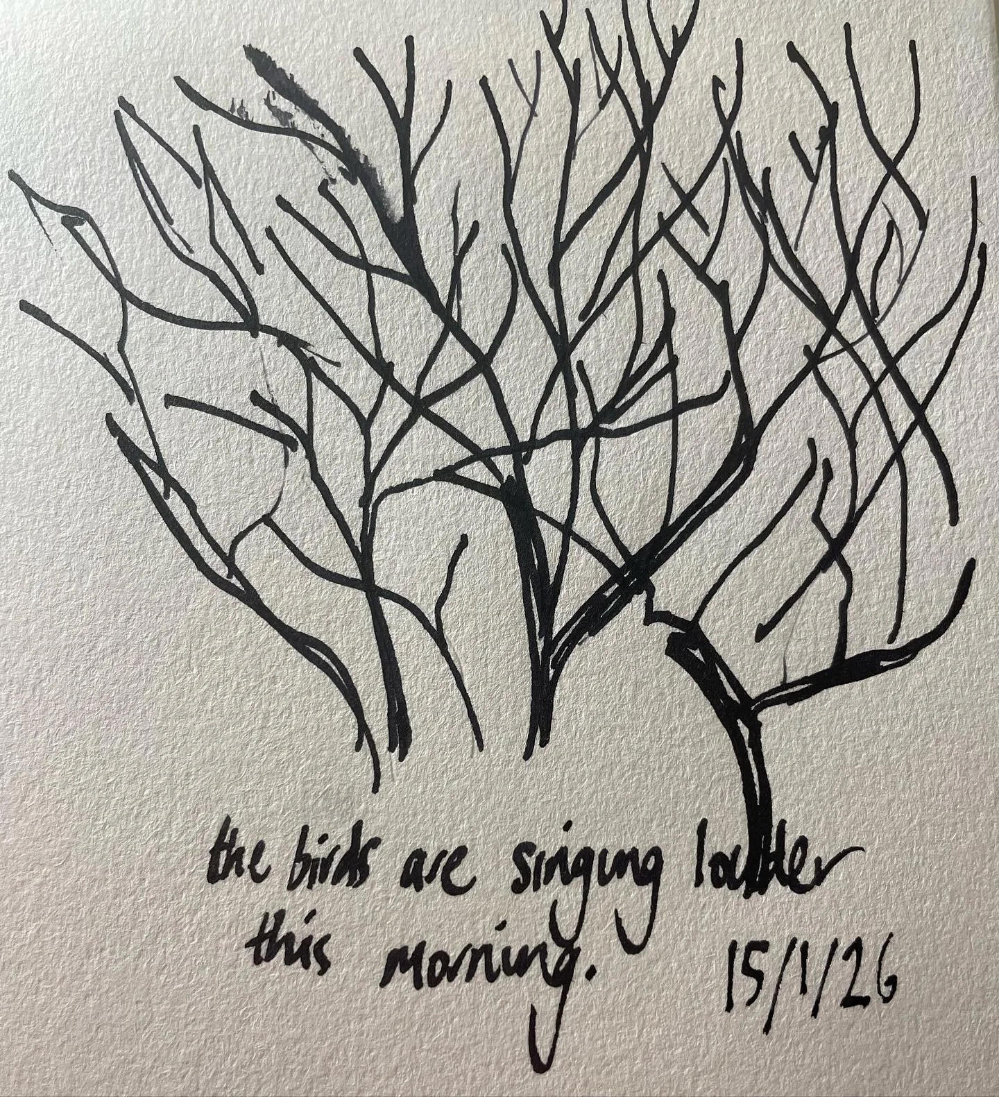 The birds are singing louder this morning.
Did anyone else notice?

I&rsquo;m not sure how to best use this flawed platform at the moment - I&rsquo;ve been wintering and convalescing and I&rsquo;m starting to feel more reliably human again, and most 