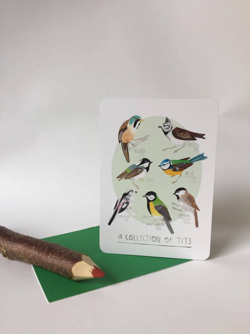 A collection of Tits - Available as Postcard or Print 