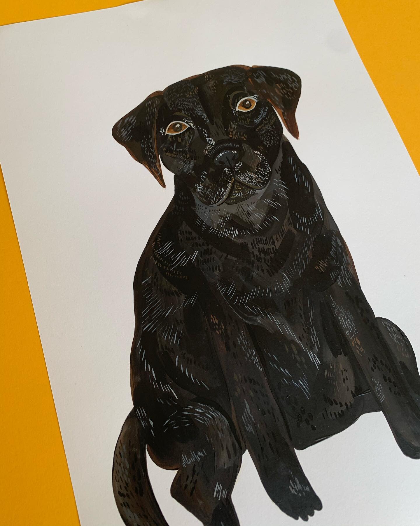 Beautiful Monty - hand painted black Labrador 🖤✨ 
Same colour pets are sometimes so super difficult to paint but I always love a challenge, especially from amazing lovely people. This was a Christmas commission that I can now proudly share with you 