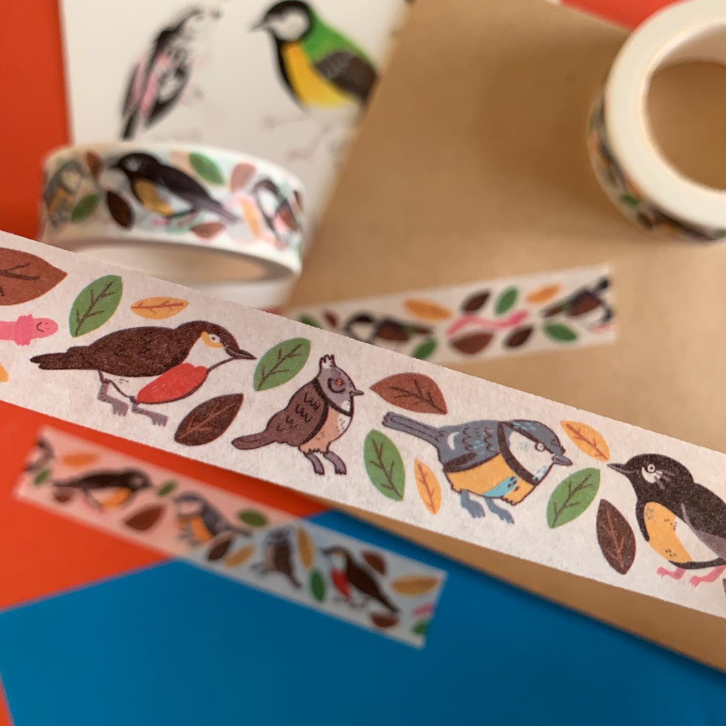 Roll up! Roll up! ✨ TIT TAPE ✨ the washi tape you didn&rsquo;t know you needed is now available on my Etsy! 🍂🐦🪱🦜🪶🍃 Some cute little bird boys with a sneaky worm on a leafy background. Decorate your journals, stick don&rsquo;t lick your envelope