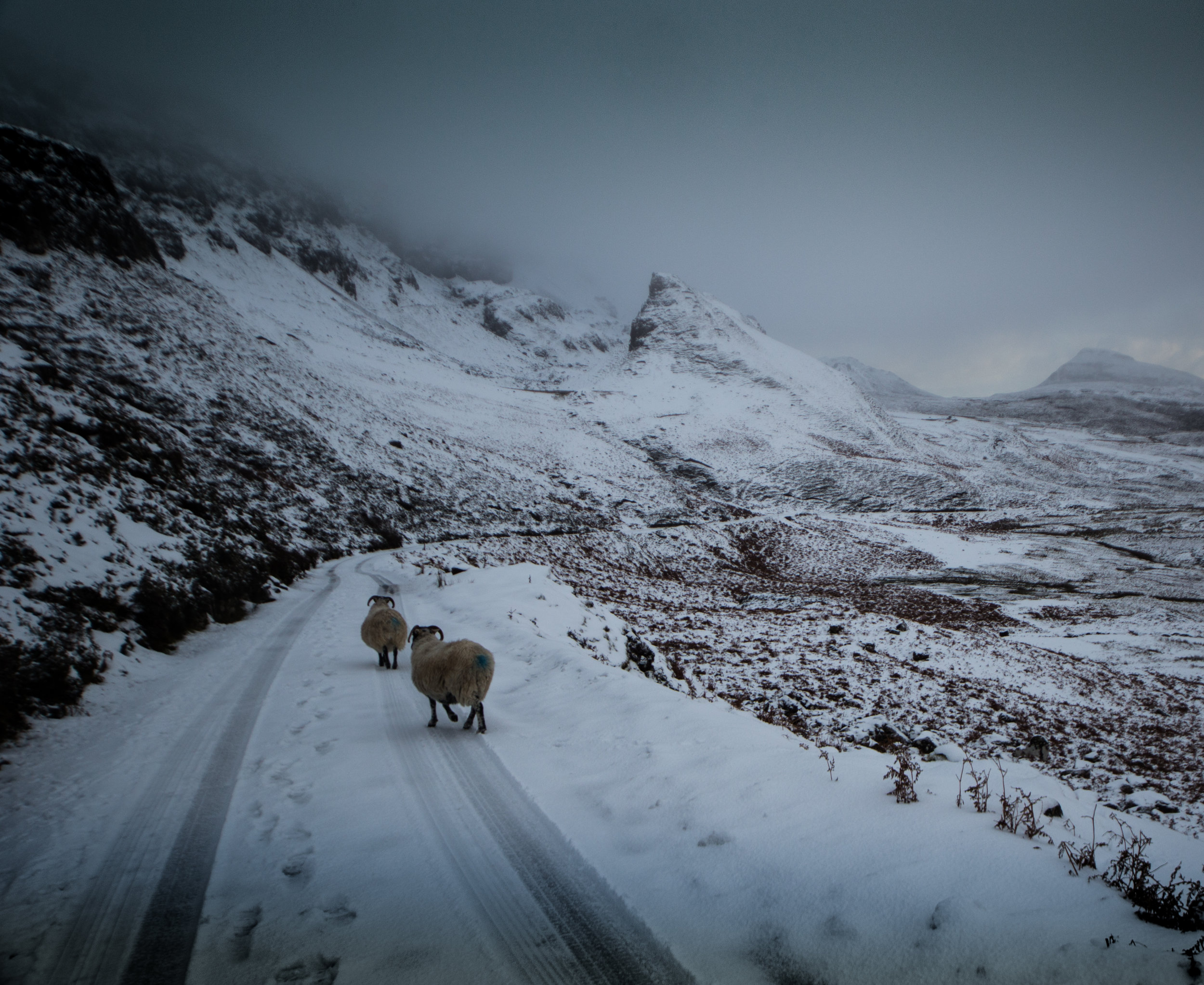 The Quiraing Crowd
