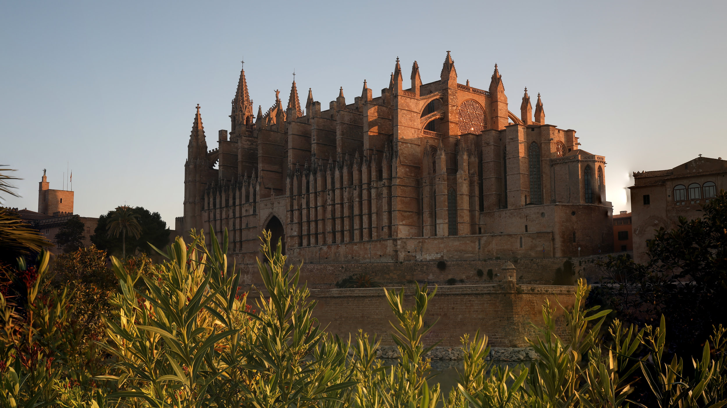 Palma Cathedral