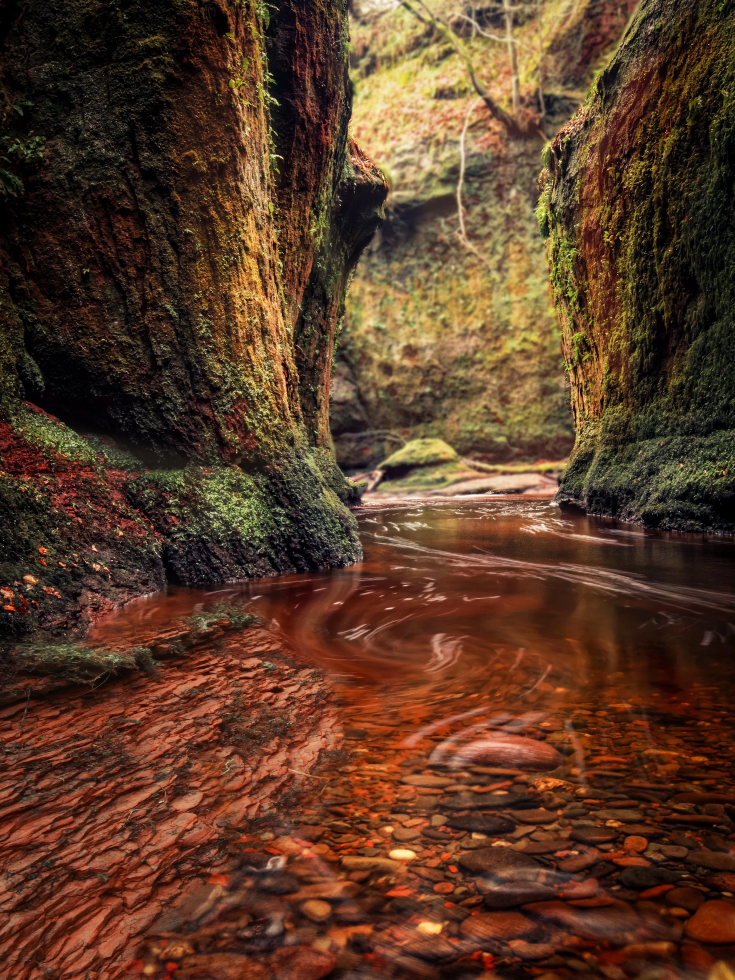 Truth Inducing Waters.jpg