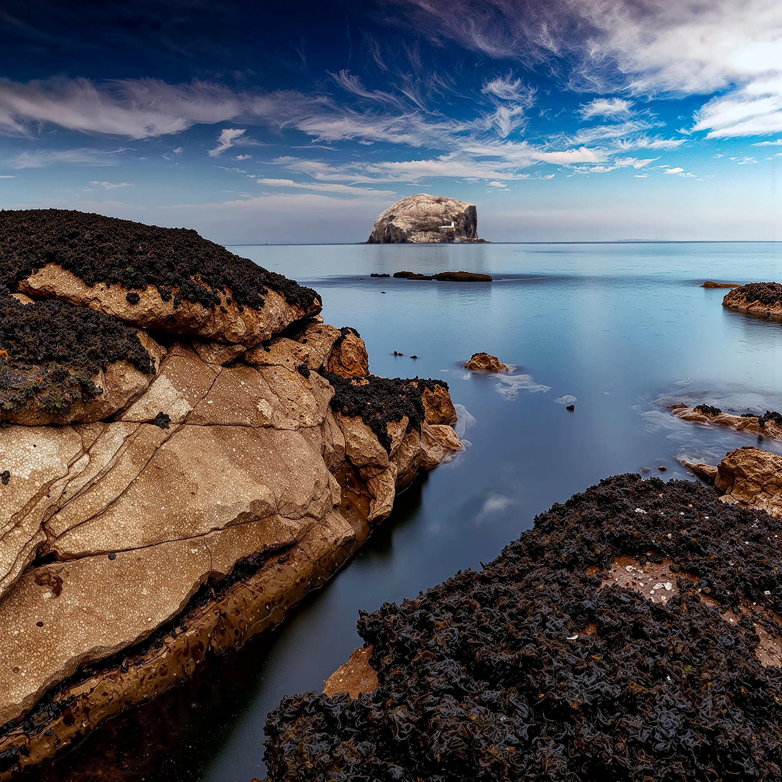 Bass Rock Summer