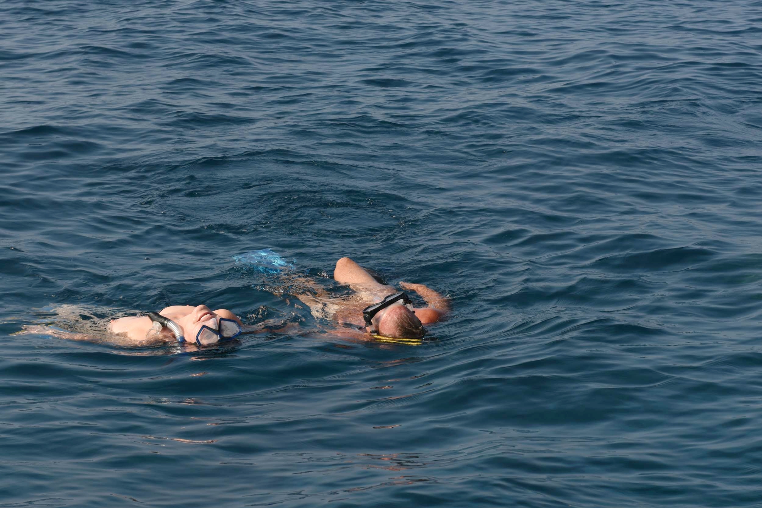 Swim Free Nudist-1358.jpg