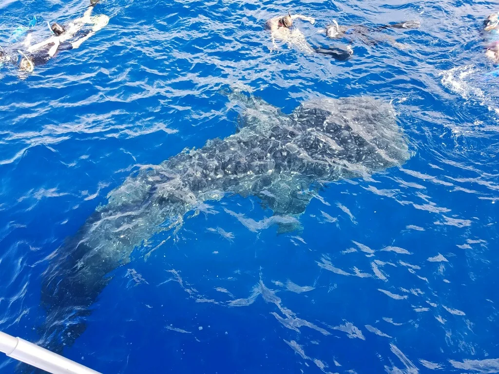 A Great Morning Got Even Better