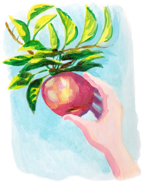 2015apple_picking.jpg