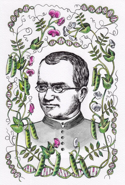 2018Gregor_Mendel.jpg