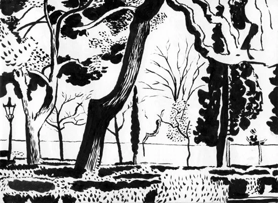 Trees ciutadella.jpg