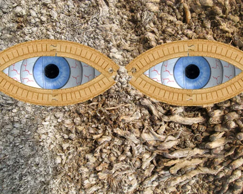 eyetree.jpg