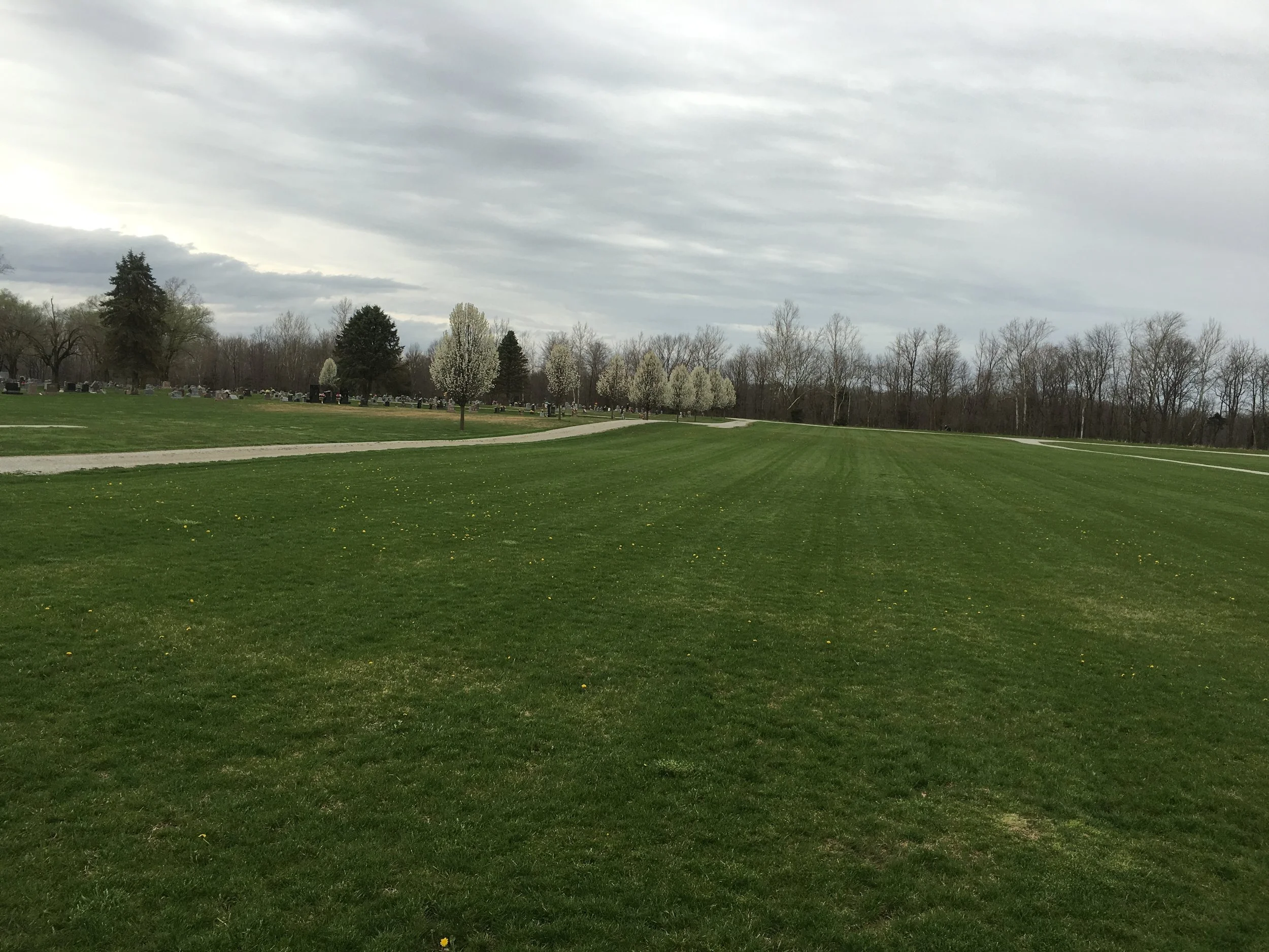 Spring in the Cemetery