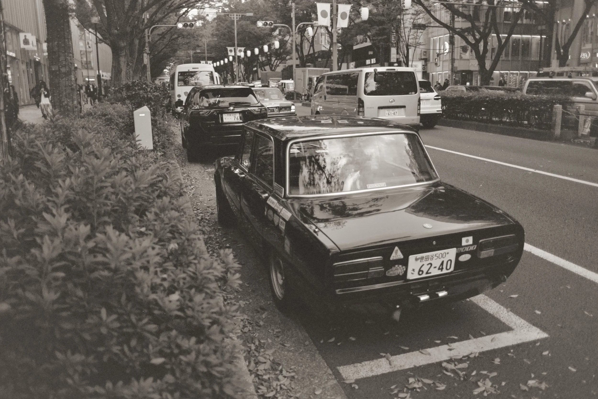 AA016.jpg