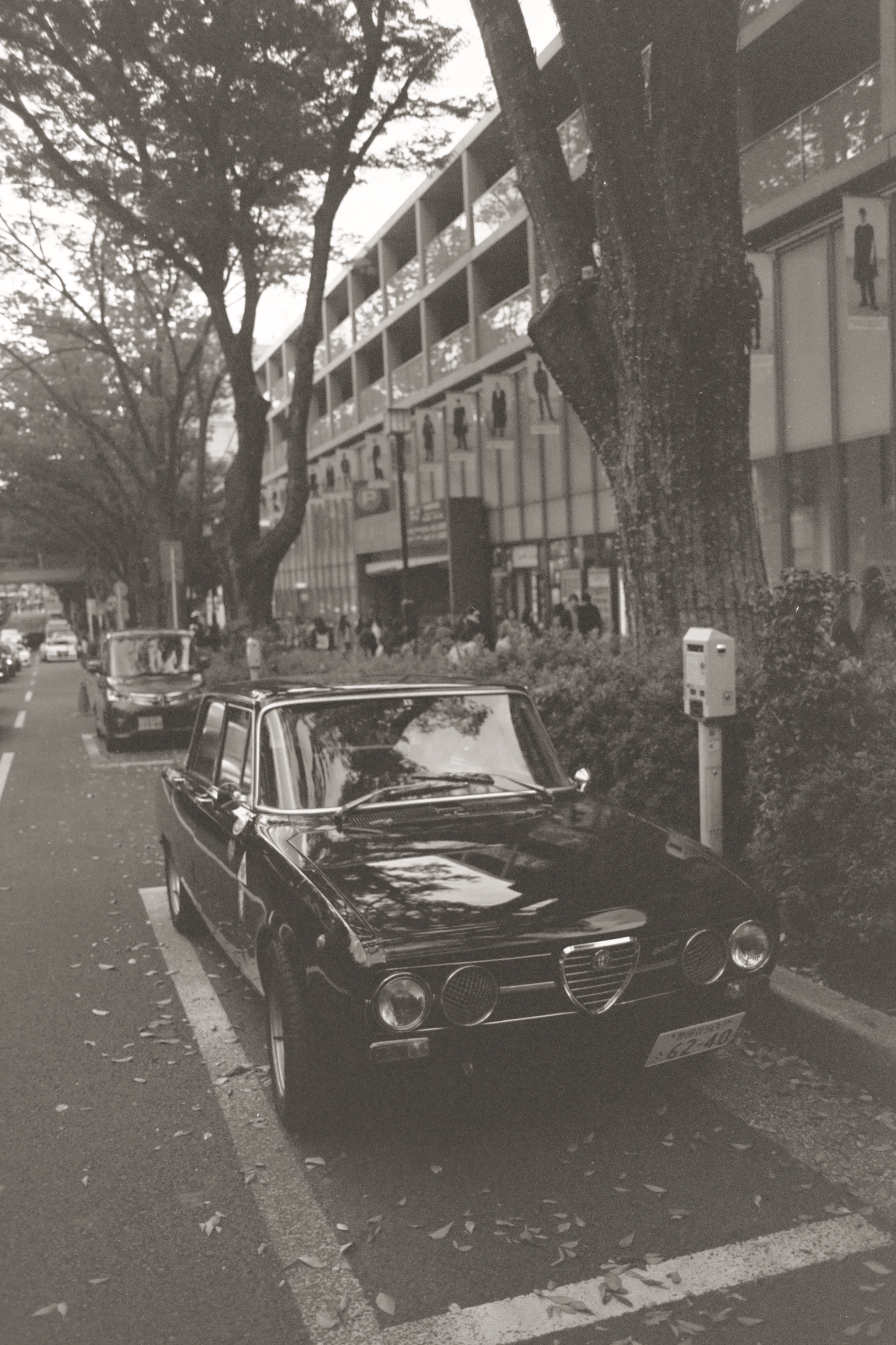 AA017.jpg