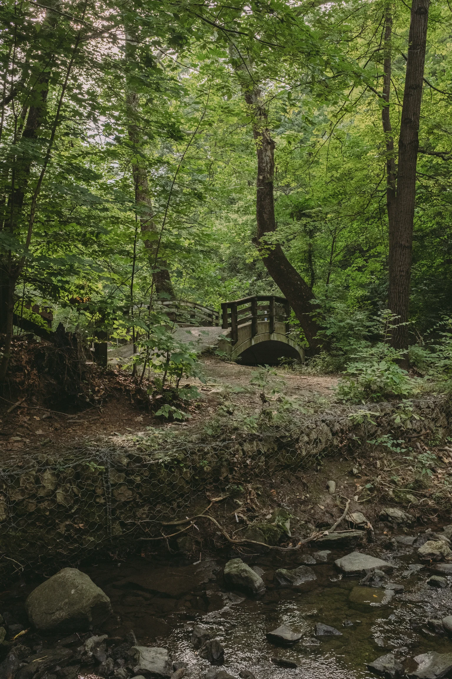 OHIO-90.jpg