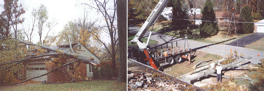 Storm Damage Clean Up - Before & After