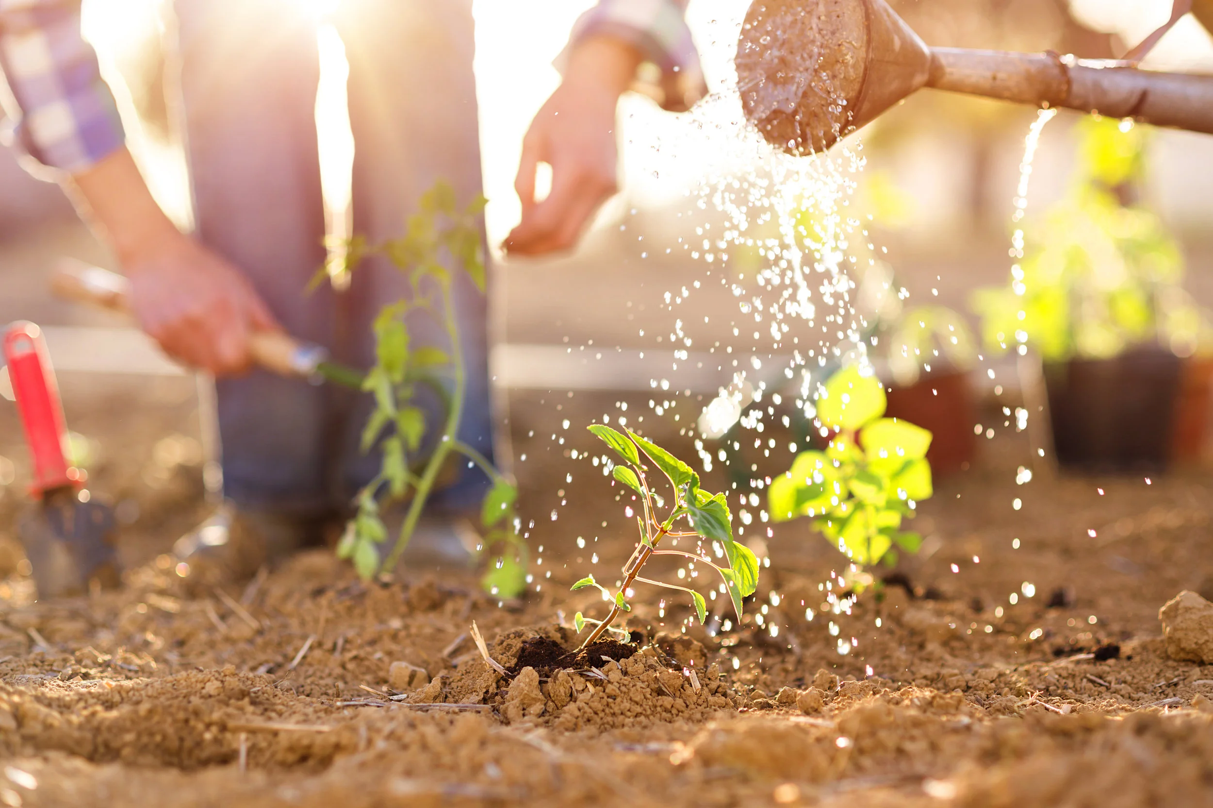 iStock-473042932.jpg