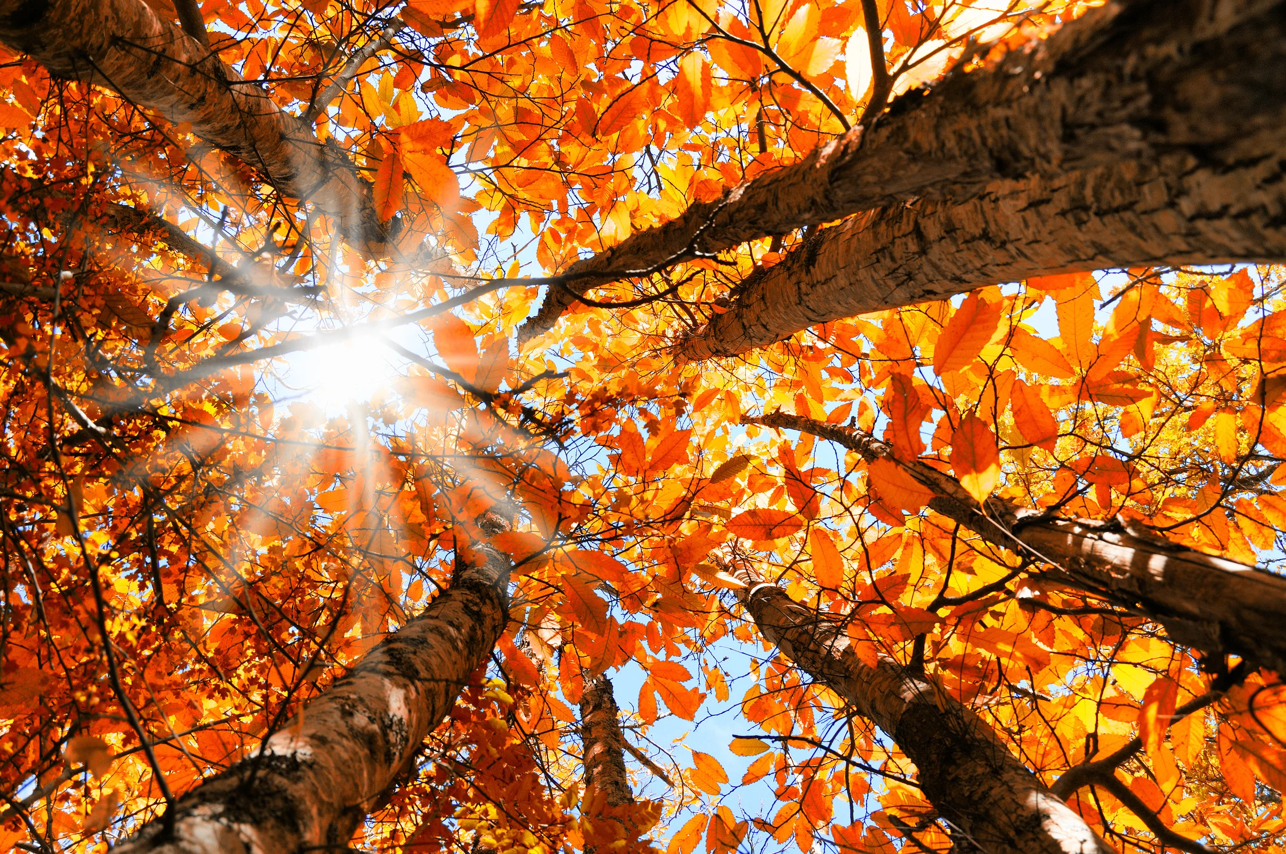 iStock-508254404.jpg