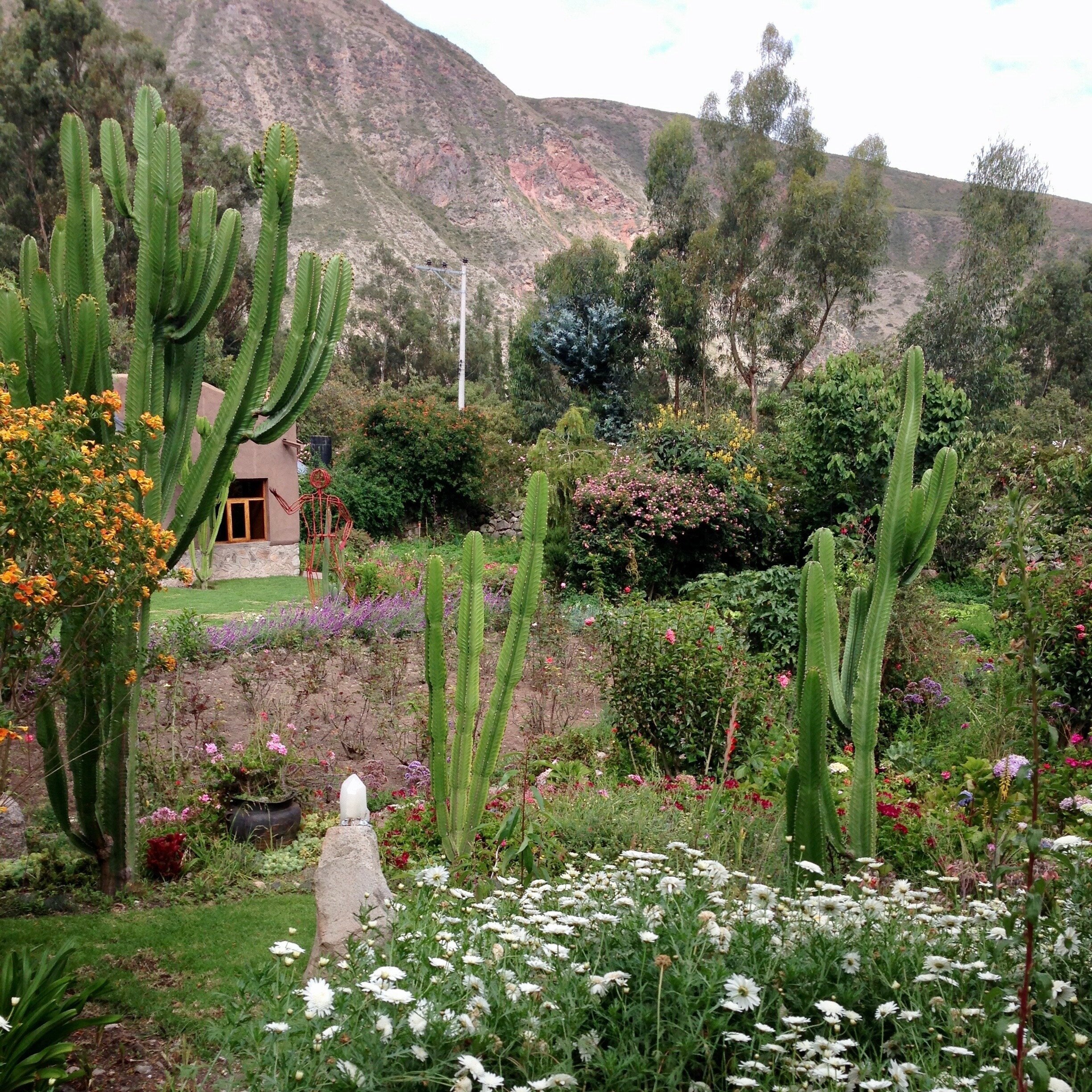 PeruIMG_0234.jpg