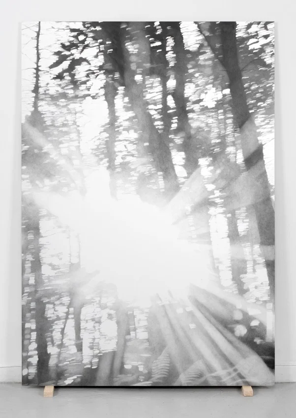 Soloppgang ved Fontainebleau, 2016. Blyant på papir montert på aluminium, 140 cm x 100 cm. Foto: Istvan Virag