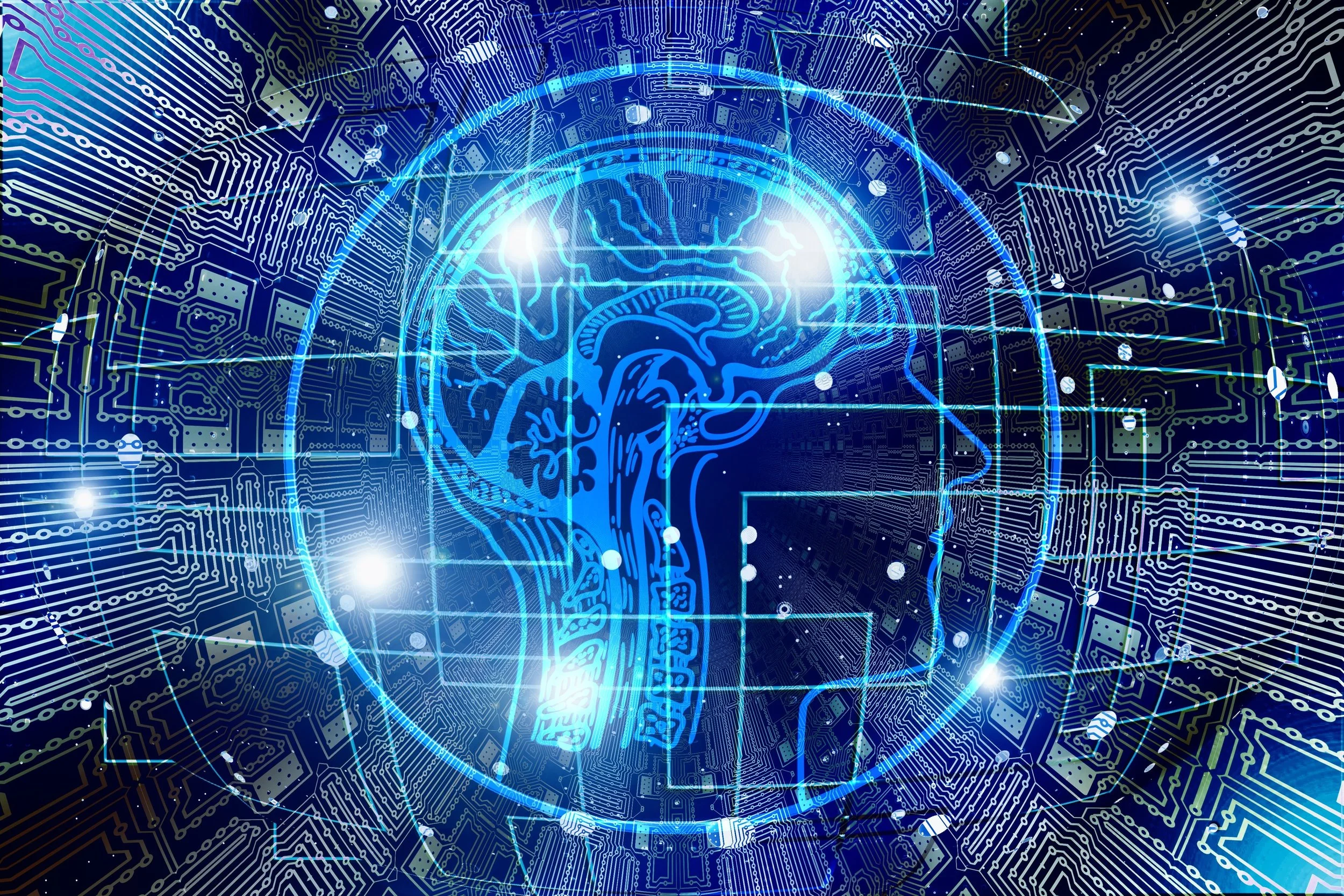 5 Essential Steps for a Successful AI Rollout Strategy