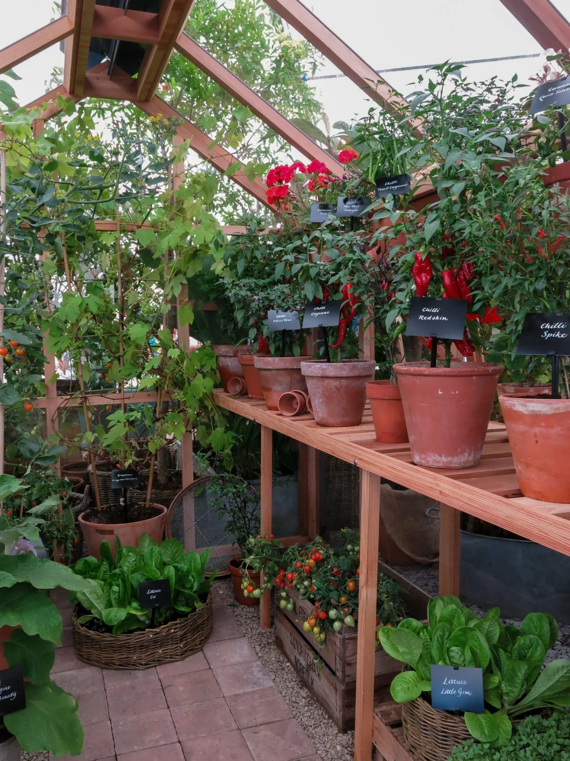 Tom Smiths Plants Silver Guilt medal winning display at the RHS Tatton Park Flower Show