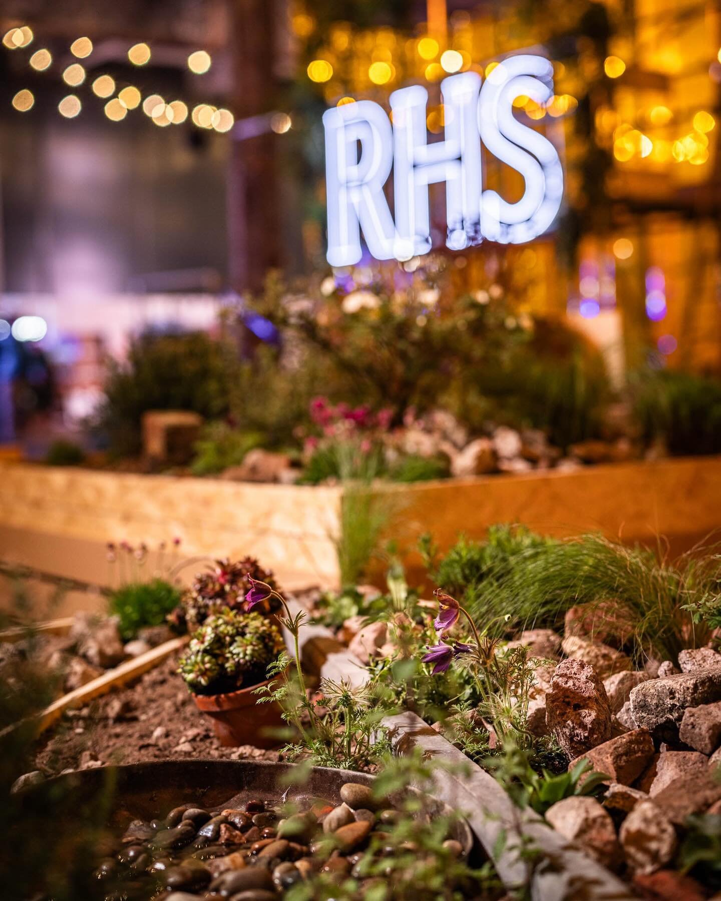 Some more details from the recent @the_rhs Urban Show. The first image features a detail from @spark.garden.design Amanda is a  designer who is based local to me in Derbyshire. I loved her Punk Rockery garden with its 24-Hour Party Planting 😊🌱
The 
