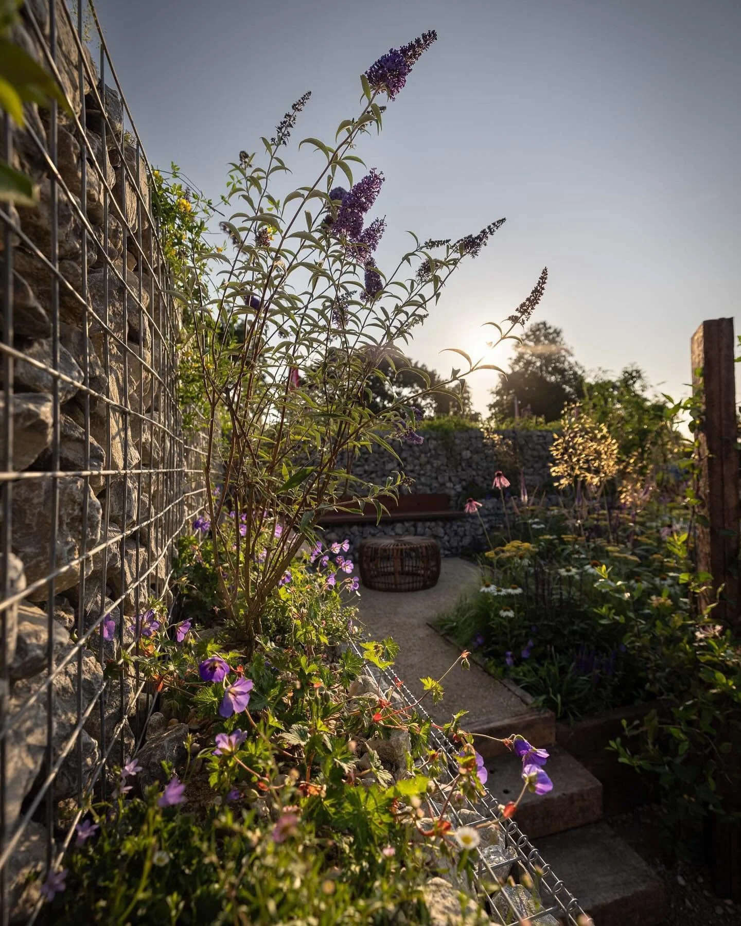 Preparing for @the_rhs Hampton Court and I can not wait to see all the beautiful gardens again this year. 
Here are a few of the images I captured for Caroline & Peter of @viriditas_studio of the wonderful Silver Gilt winning Nurturing Nature in