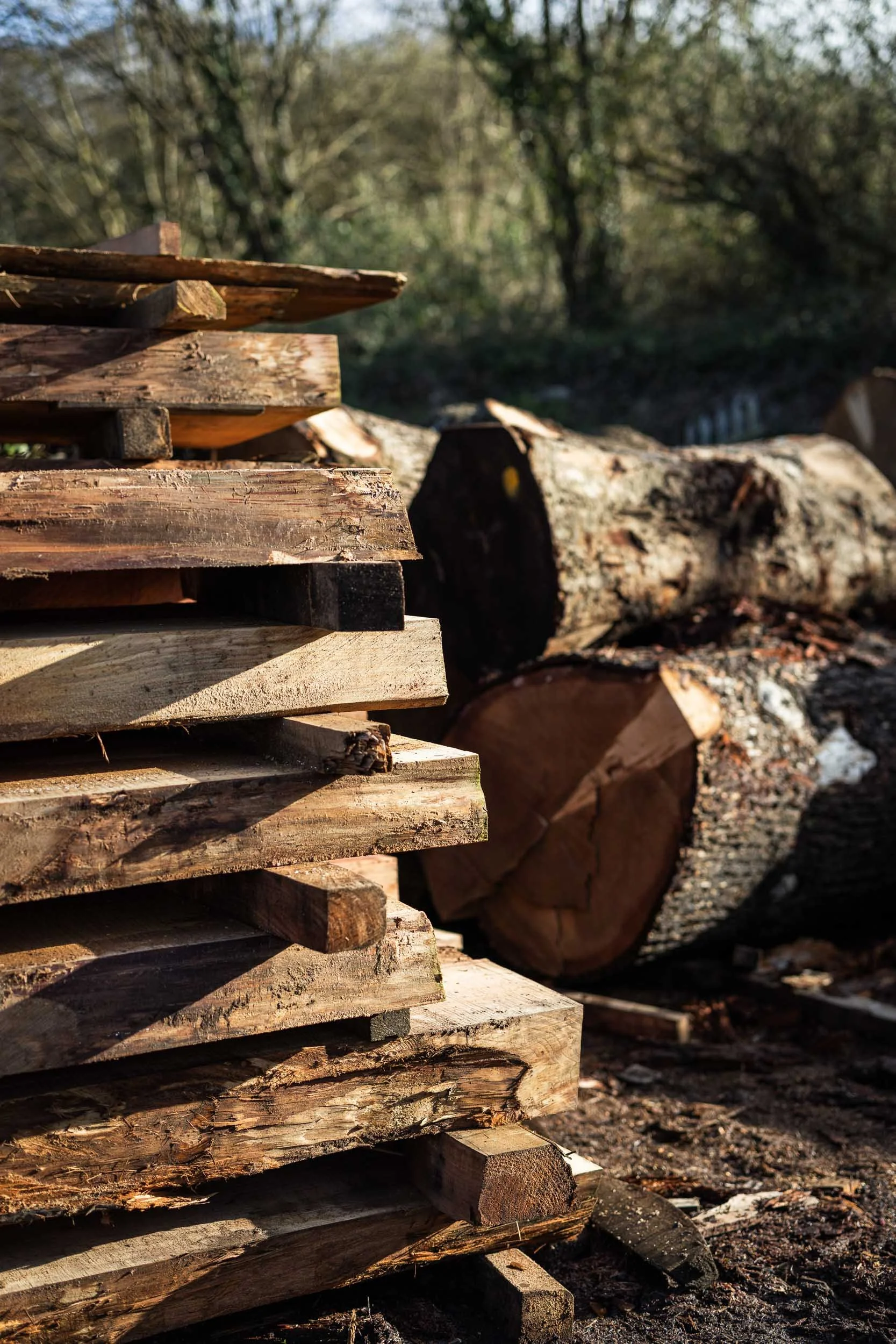 CPRE Chelsea Garden 2026