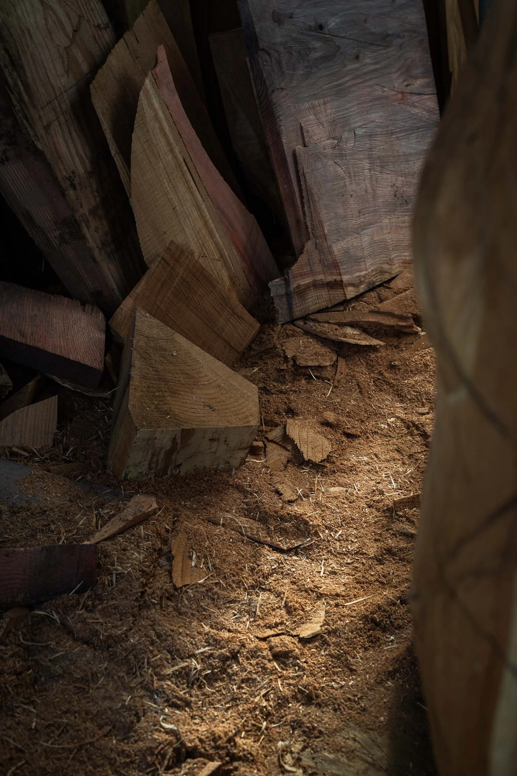 CPRE Chelsea Garden 2026