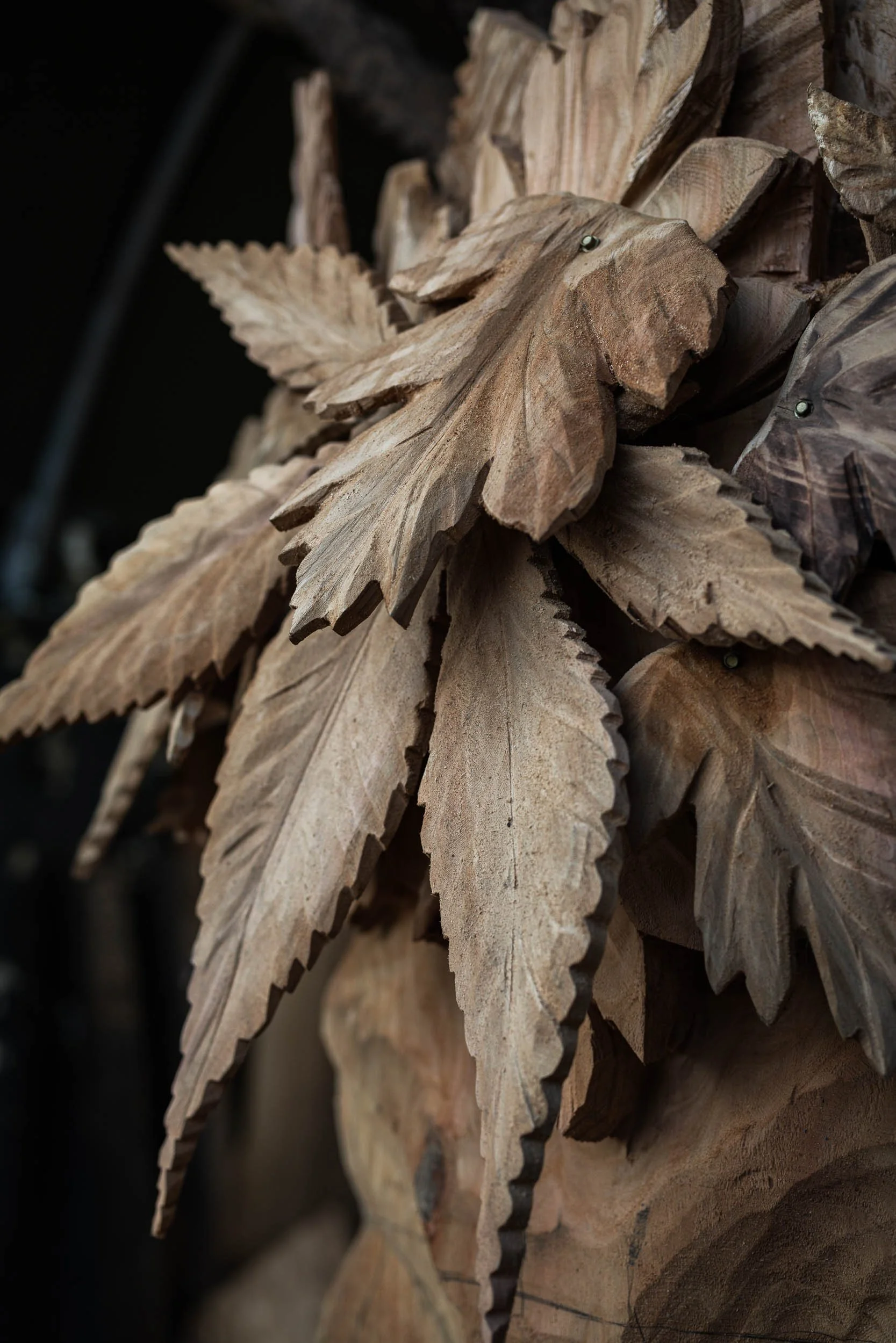 CPRE Chelsea Garden 2026