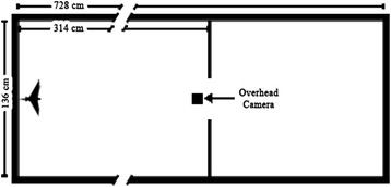 figure-1.jpg