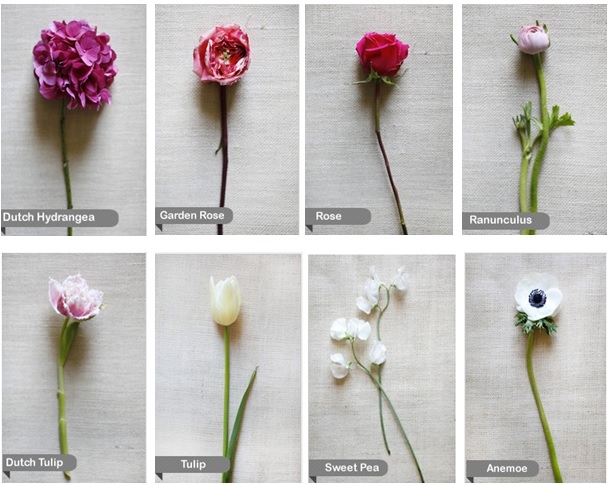 Types Of Flower Bouquets Sale Online, 50% OFF | www.ingeniovirtual.com