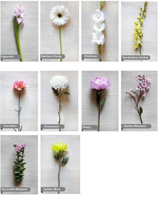 Types Of Flower Bouquets Sale Online, 50% OFF | www.ingeniovirtual.com