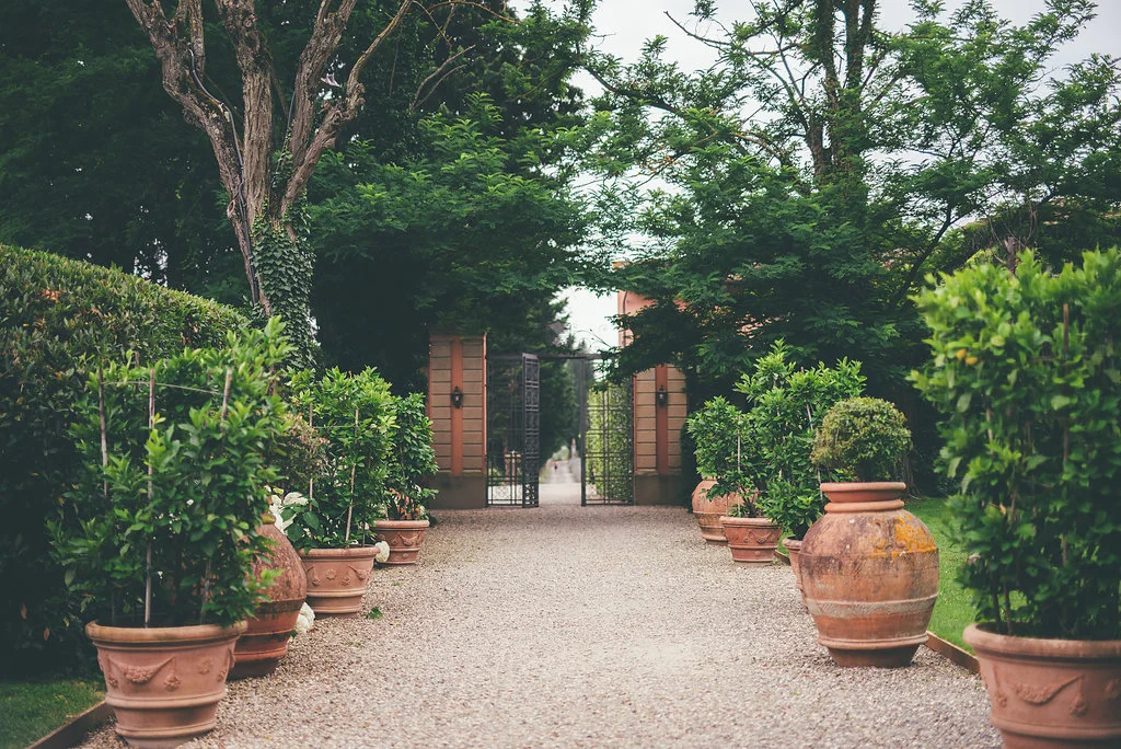 WeddingMangiacane(9).jpg